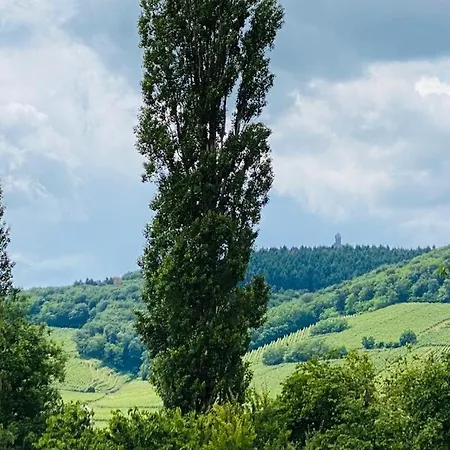 Vakantiehuis La Grange Kintzheim