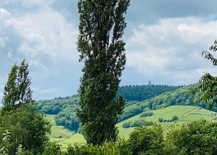 Tatil Evi La Grange Kintzheim