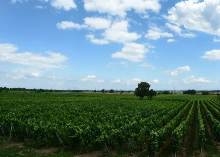 La Grange * Kintzheim