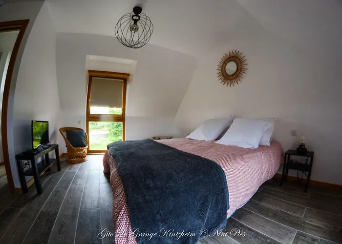 La Grange Tatil Evi Kintzheim